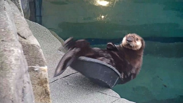 heck! 📸 unonnon | TW -...