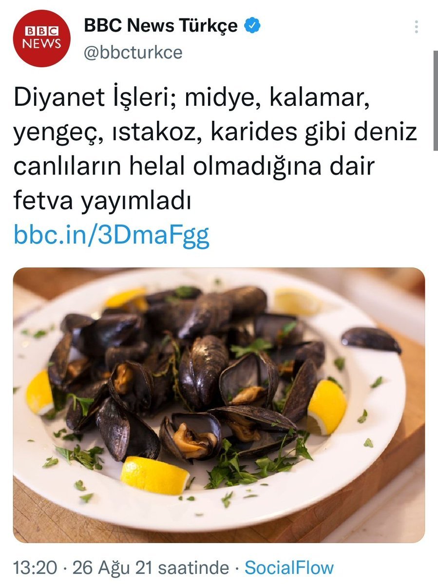 BBC News Türkçe BBC NEWS...