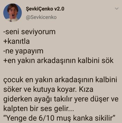 Şevkiçenko v2.0...