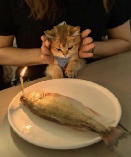 Kaynak
