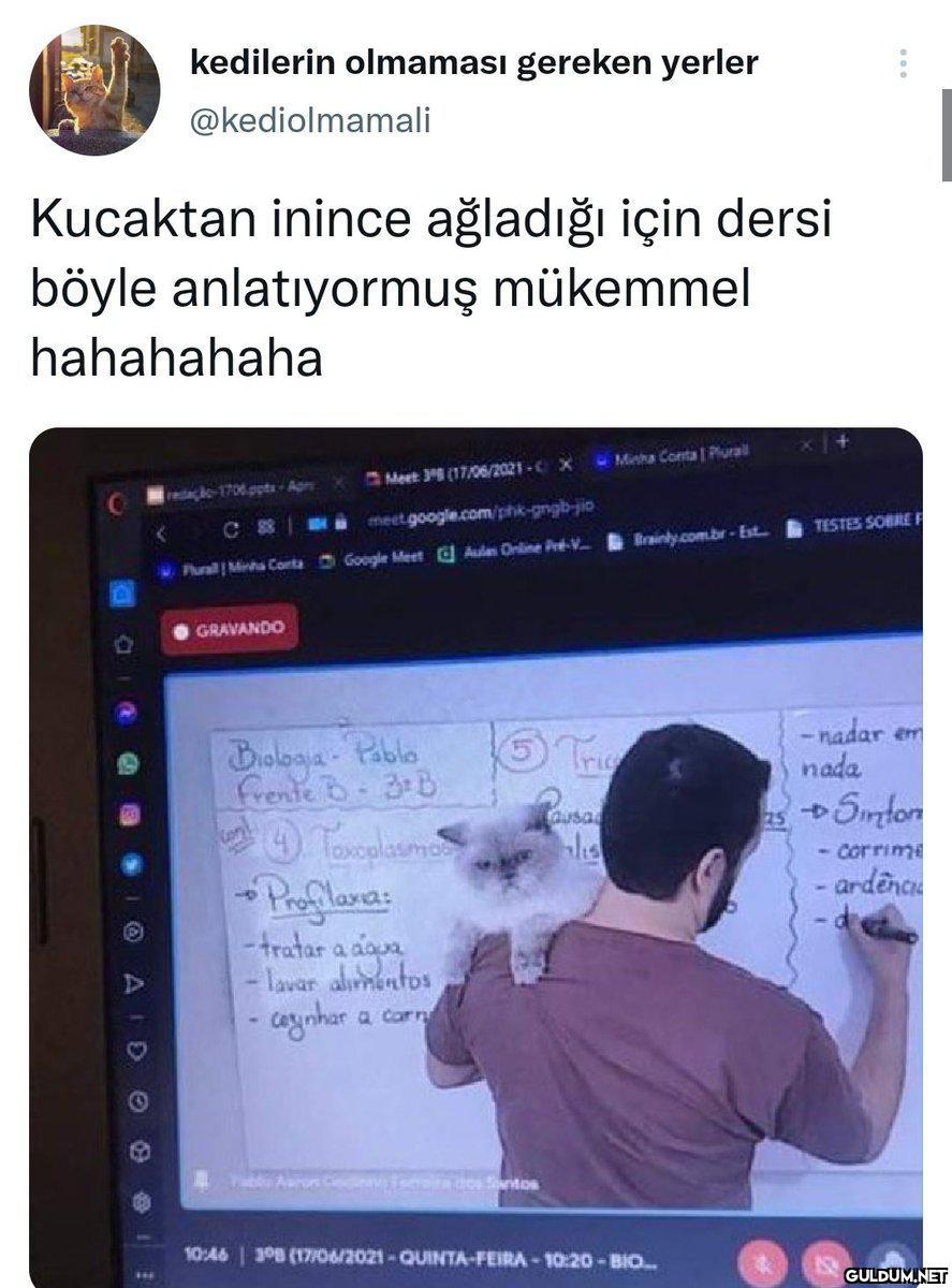 Ahahshsajsb    kedilerin...