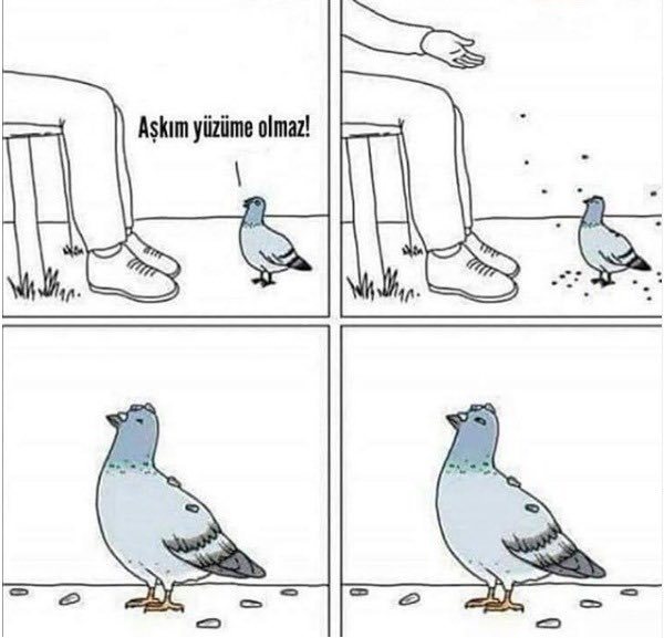 Aşkım yüzüme olmaz! 10    Kaynak