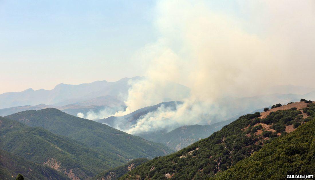 AKP Tunceli il Başkanı...