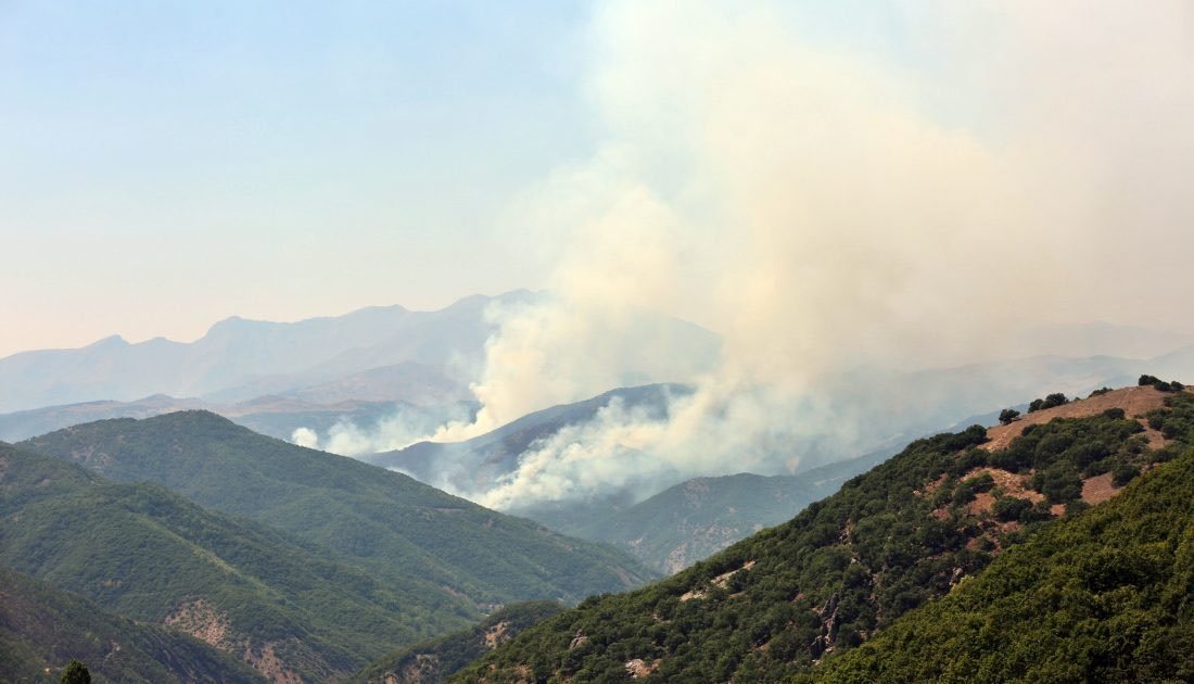 AKP Tunceli il Başkanı...