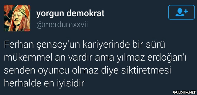 yorgun demokrat...