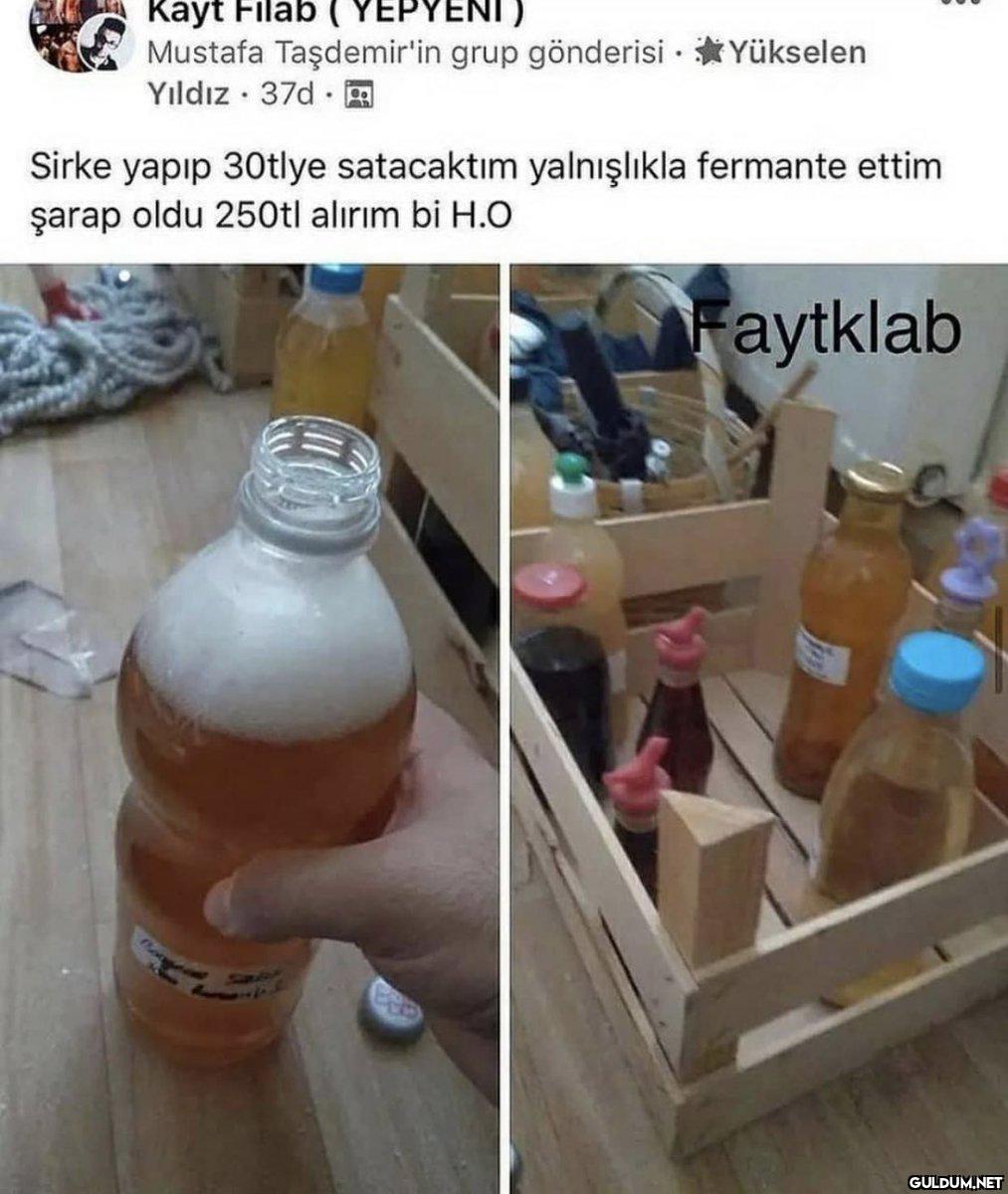 Kayt Filab ( YEPYENİ)...