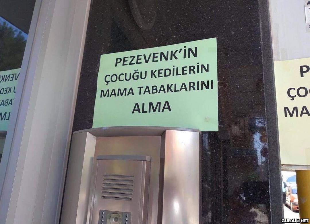 seni pezevenklerin elinden...