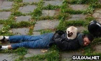 CIA     Kaynak