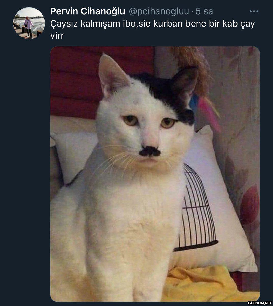Popular post