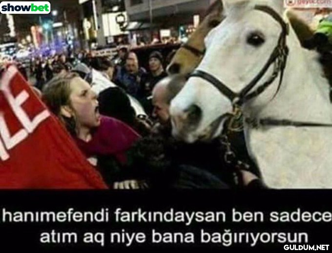 AHahahah    showbet...