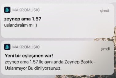 uslandırın uslandırın   ...
