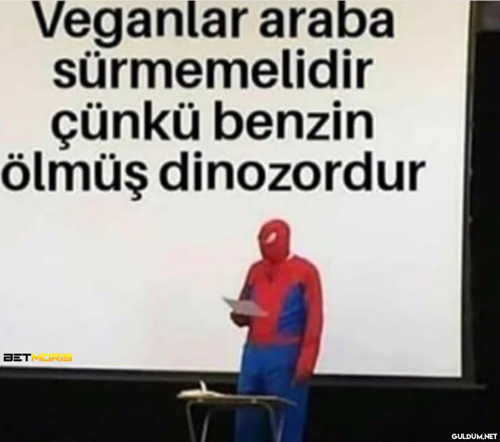 Veganlar araba...