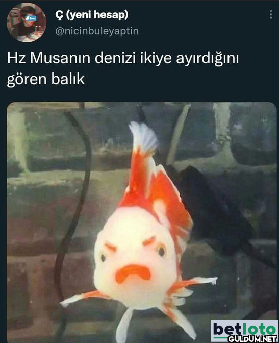 Hz Musanın denizi ikiye...