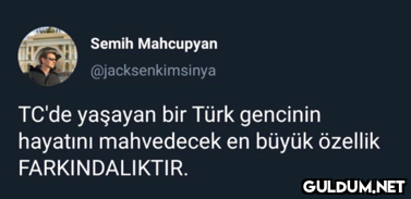 Semih Mahcupyan...