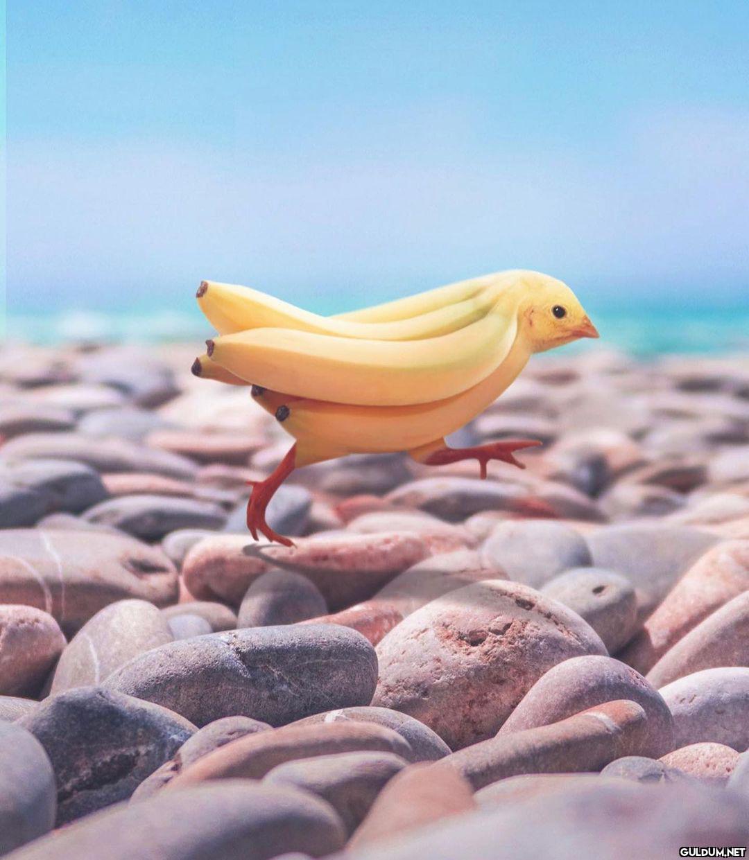 This is so creative 😮 -...