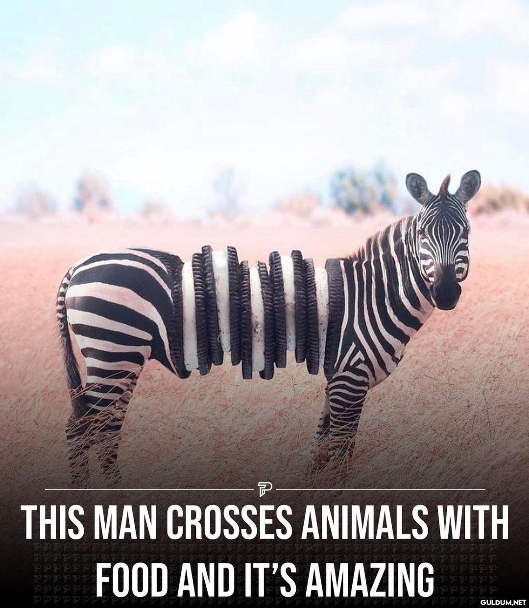 This is so creative 😮 -...