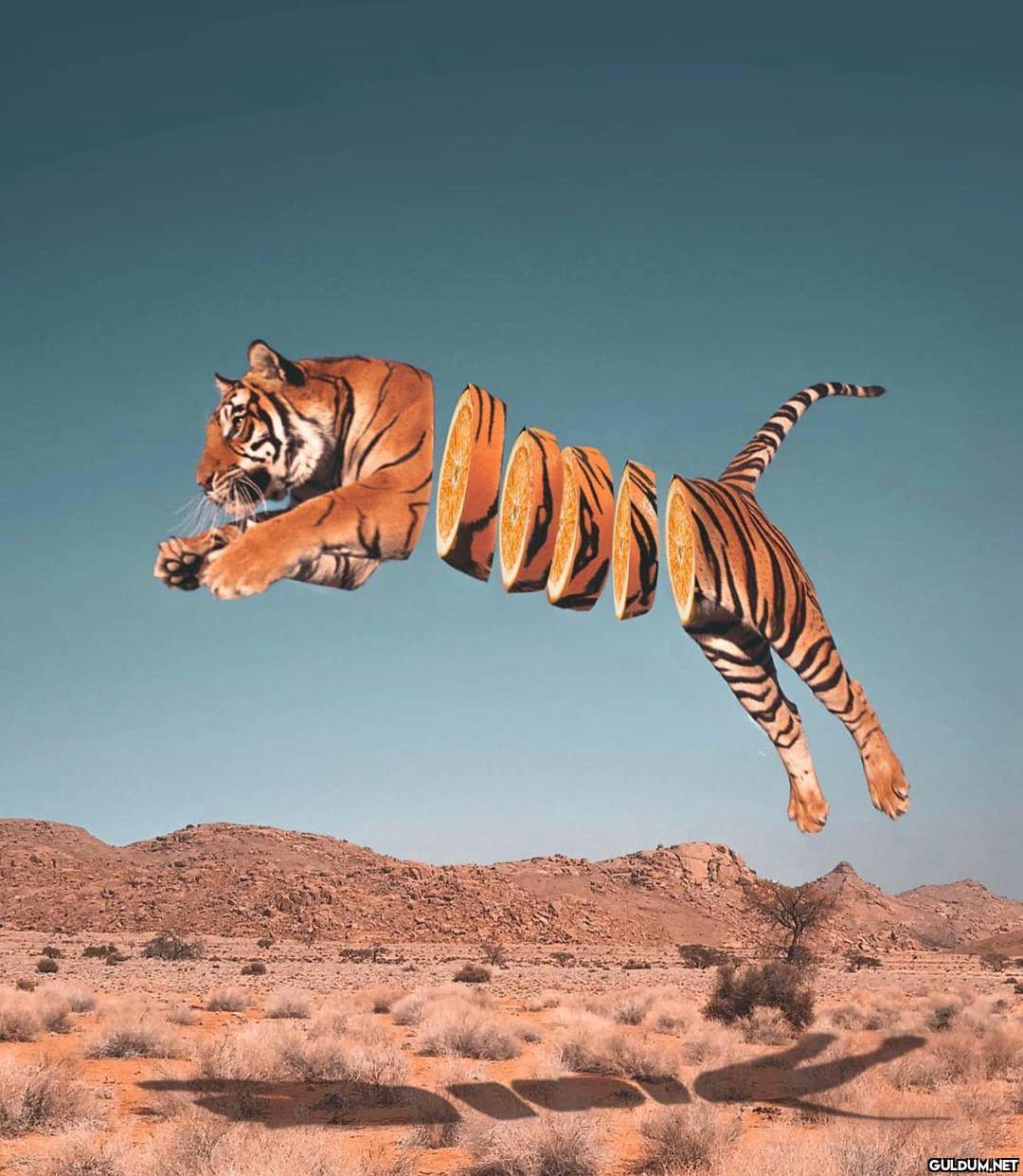 This is so creative 😮 -...