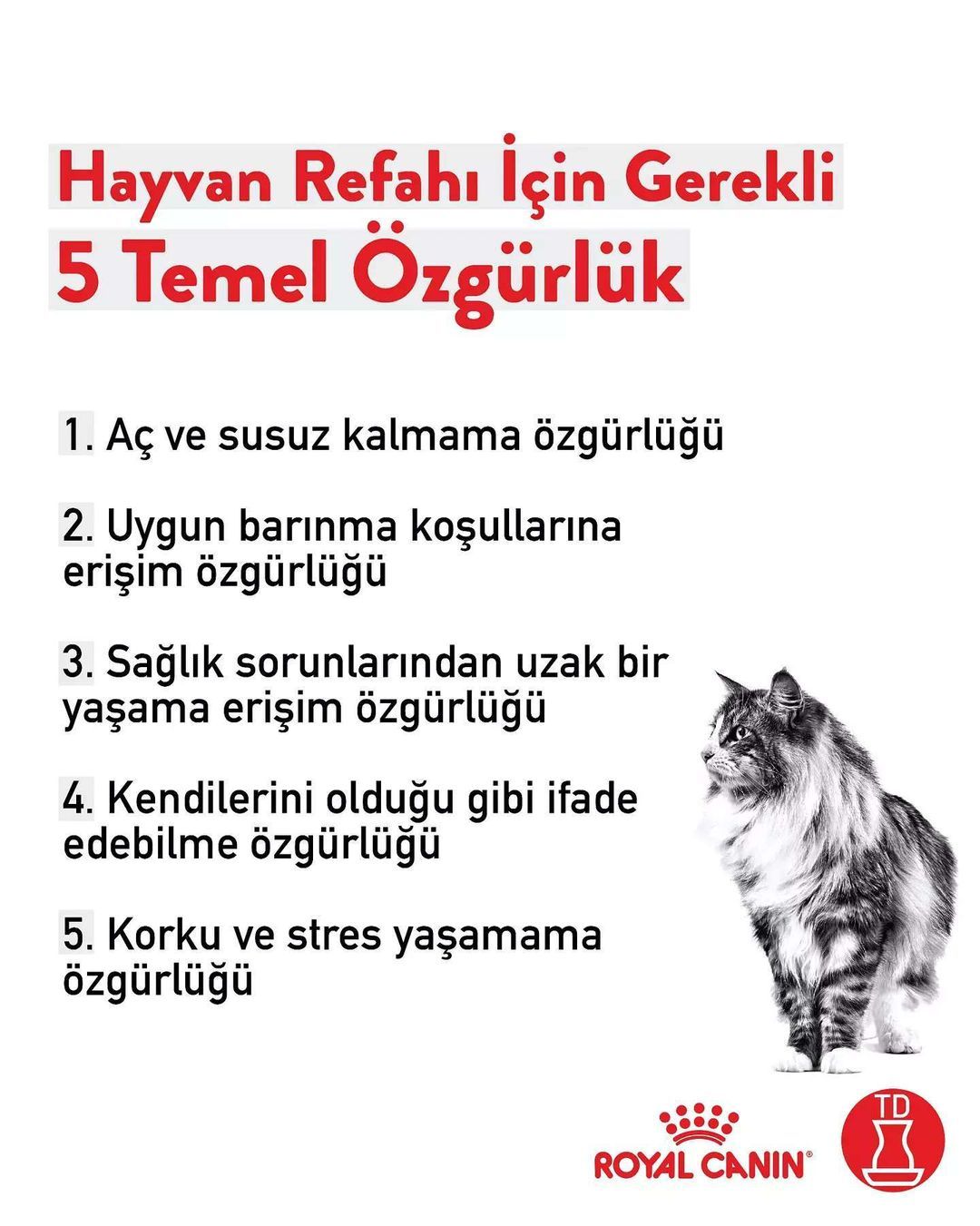 Bunu Bi’ Düşünün!...