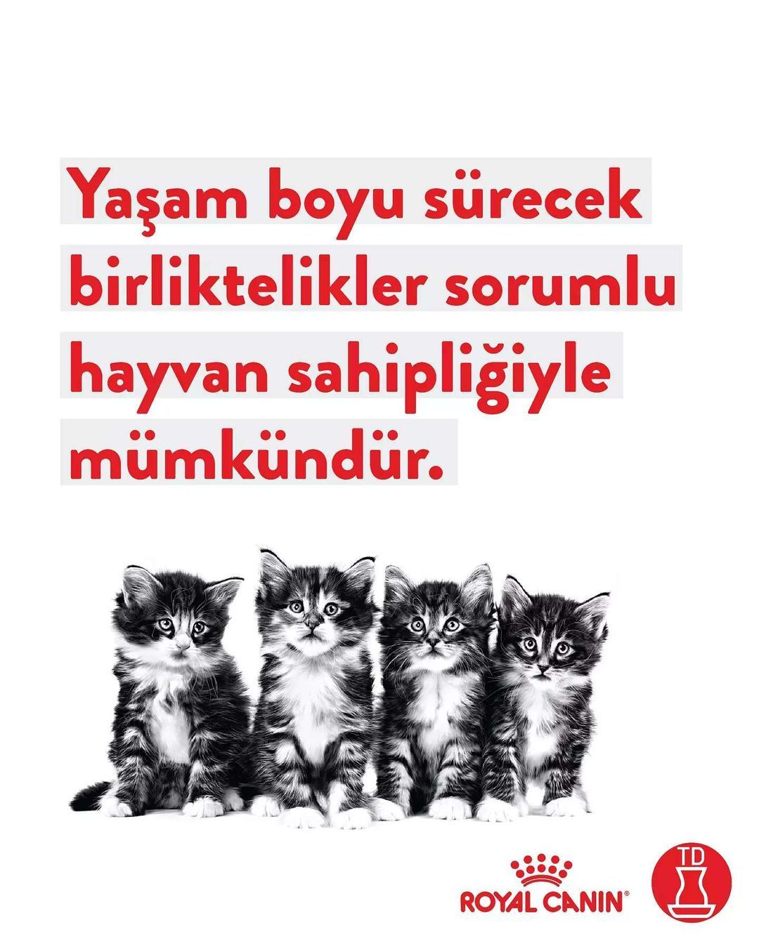 Bunu Bi’ Düşünün!...
