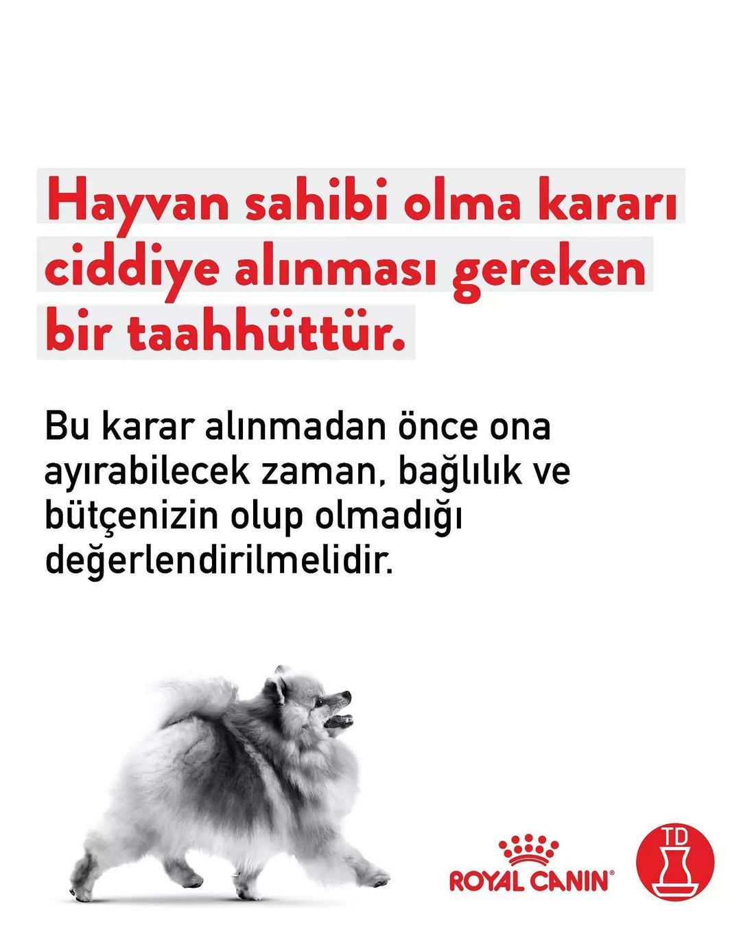 Bunu Bi’ Düşünün!...