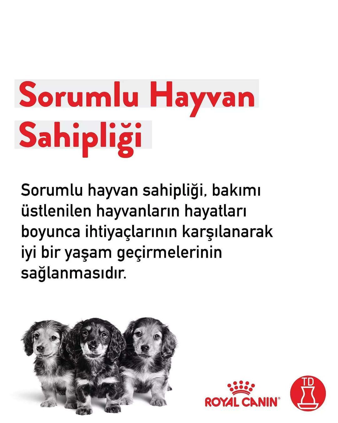 Bunu Bi’ Düşünün!...