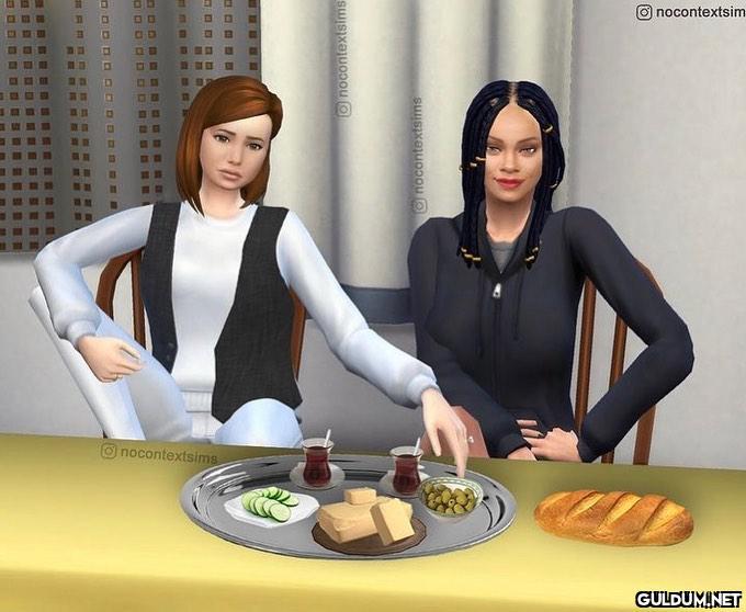 Ünlü isimlerin Sims...
