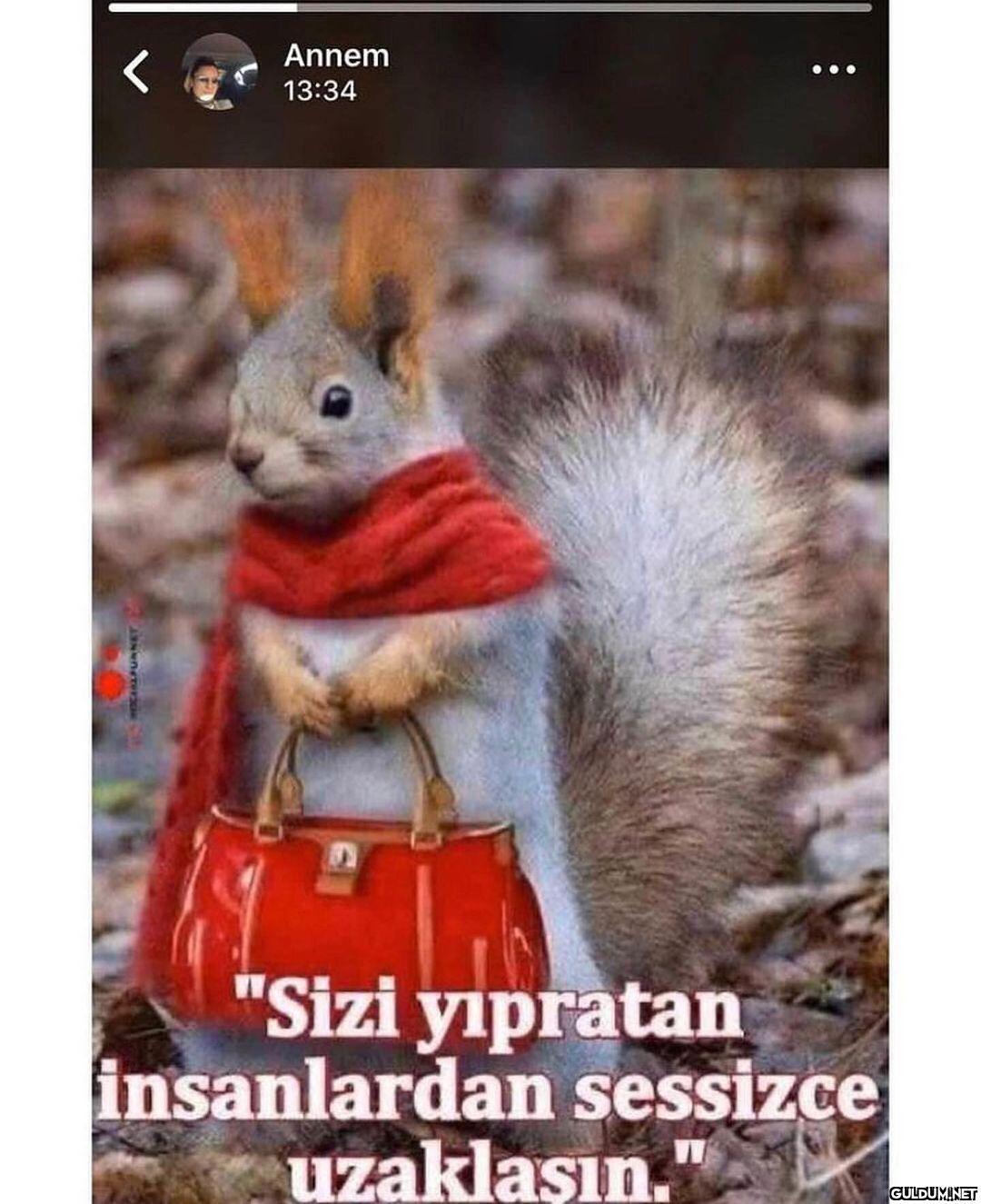 Anneleri üzmeyin la… Annem...