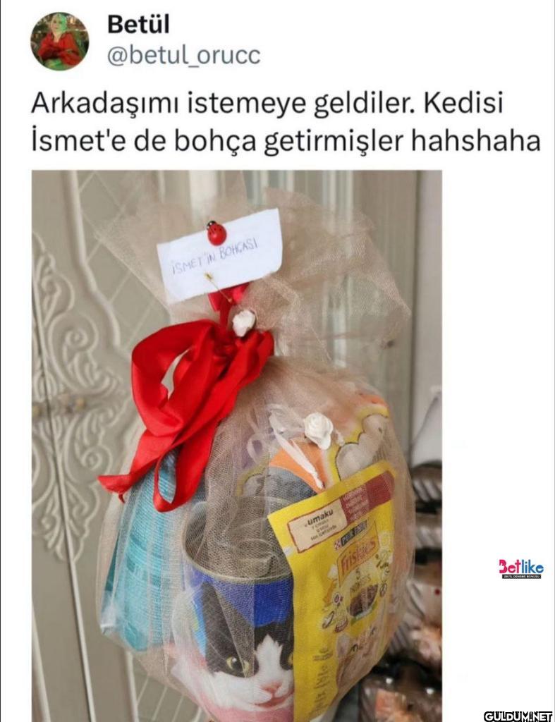 Arkadaşımı istemeye...
