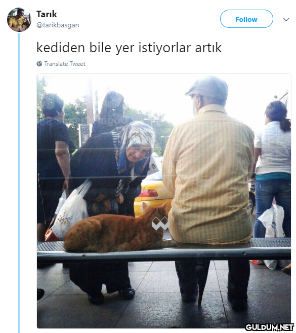 Tarık Follow @tarikbasgan...