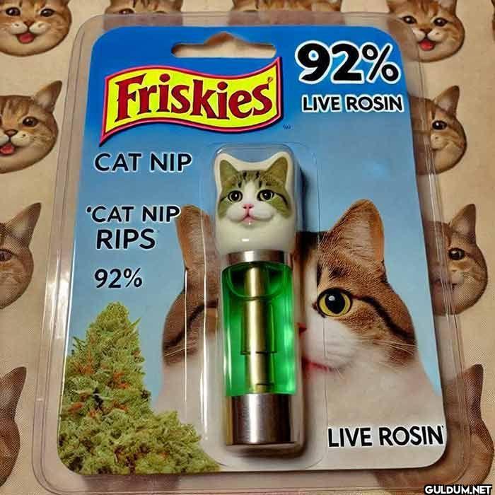 92% Friskies LIVE ROSIN...