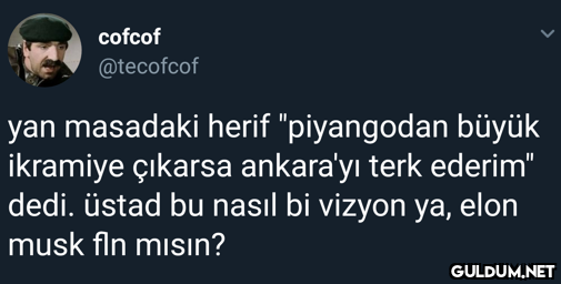 cofcof @tecofcof yan...