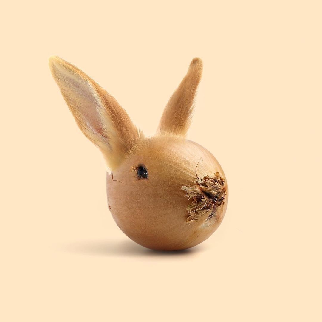 Animals and fruits and...