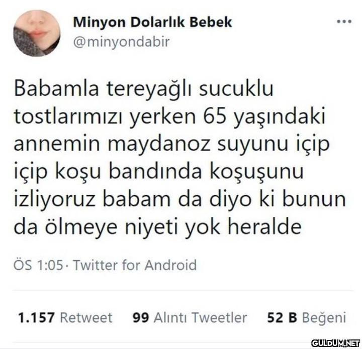 Minyon Dolarlık Bebek...