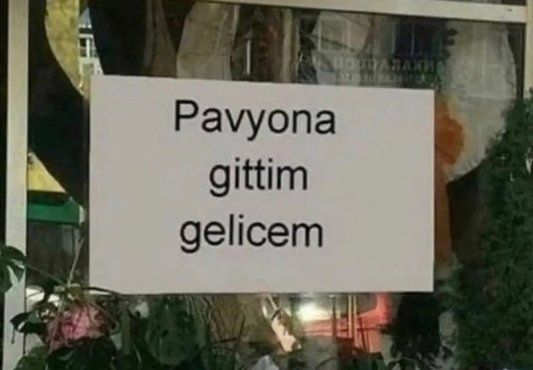Pavyona gittim gelicem    Kaynak