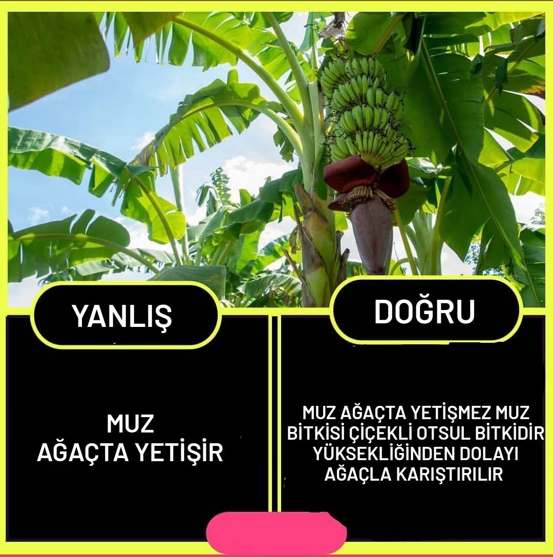Kaynak