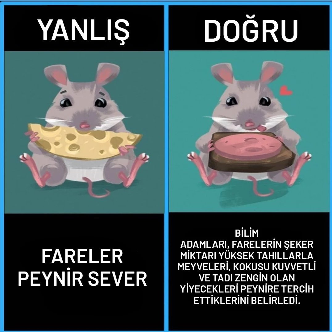 Kaynak