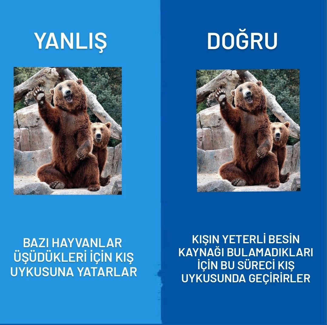 Kaynak