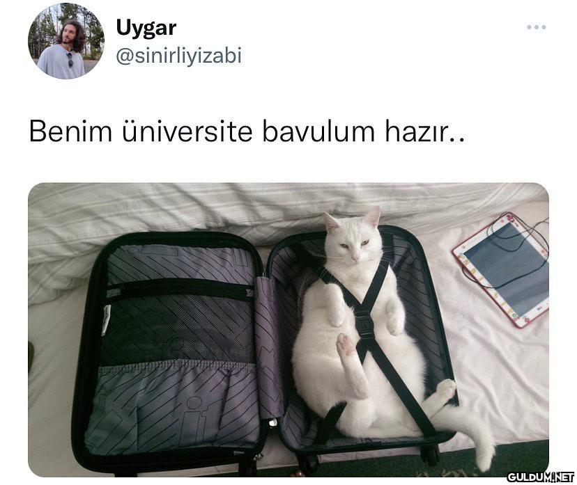 Uygar @sinirliyizabi ......