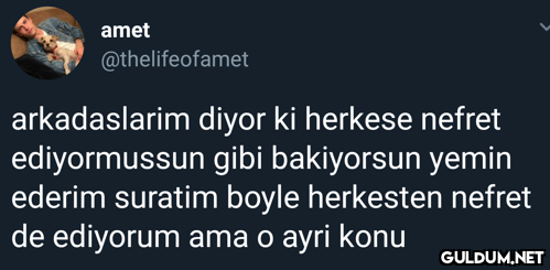 amet @thelifeofamet...