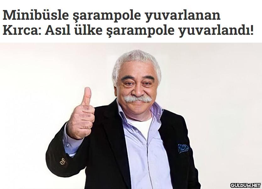 Minibüsle şarampole...