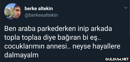 berke altekin...