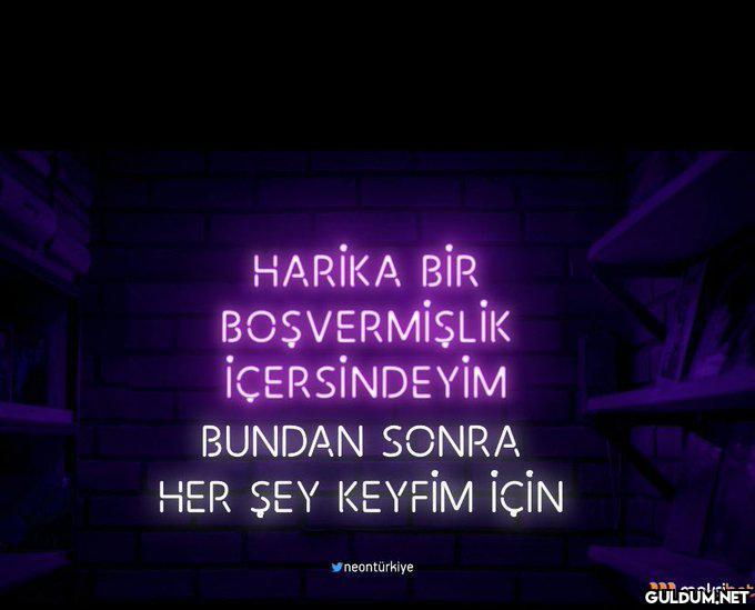 HARİKA BİR BOŞVERMİŞLİK...