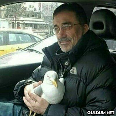 @satrayni    Kaynak