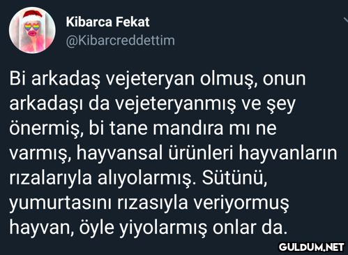 Kibarca Fekat...