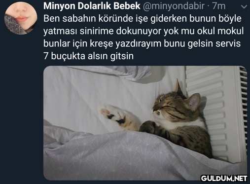 Minyon Dolarlık Bebek...