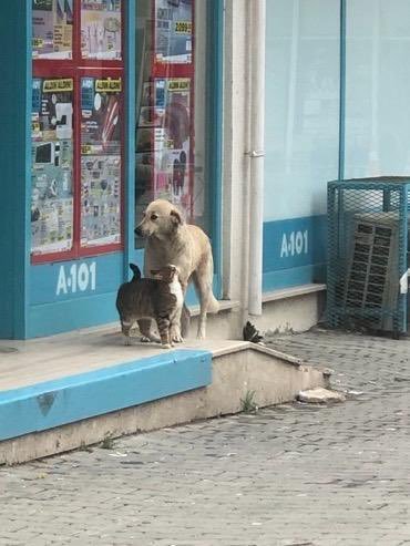 A101 çıkışında denk...