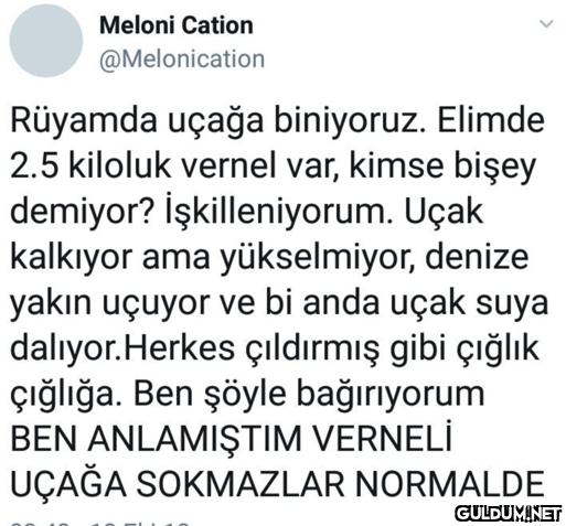 Meloni Cation...