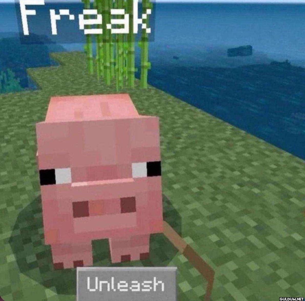 Freak Unleash