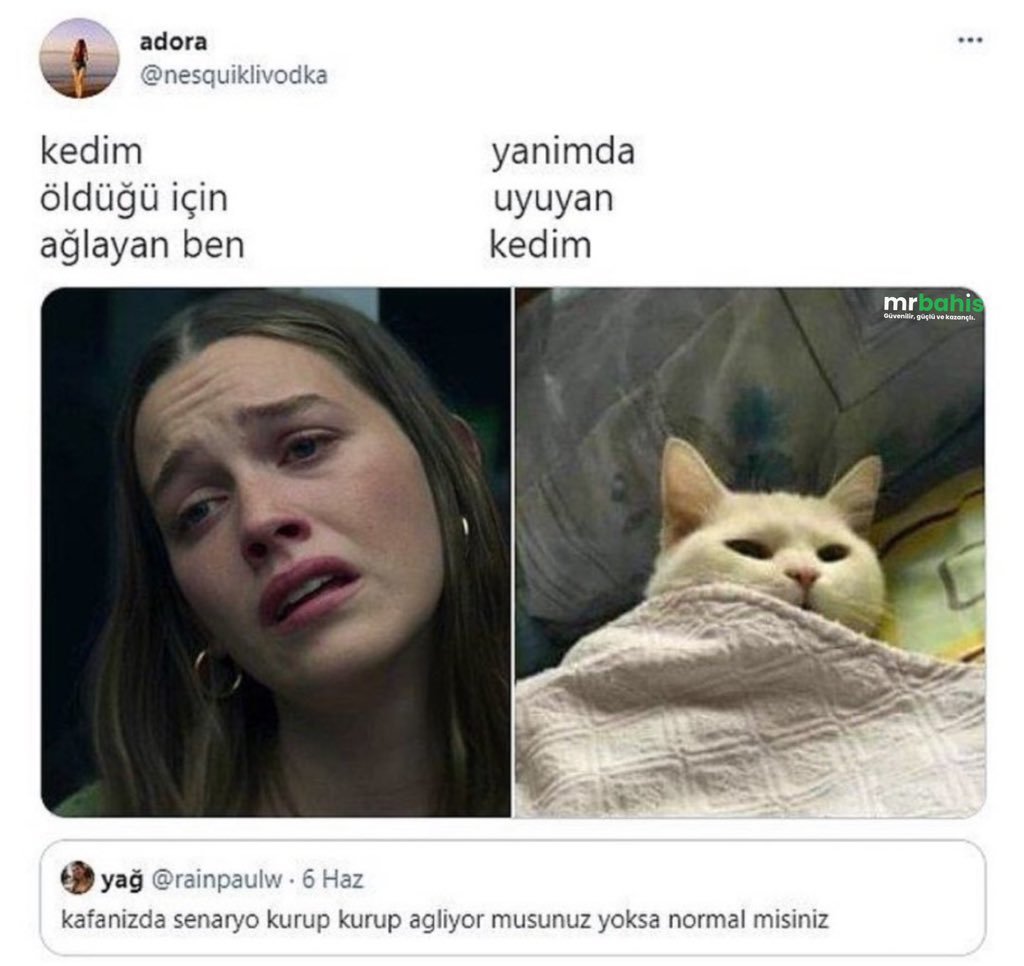 Kaynak