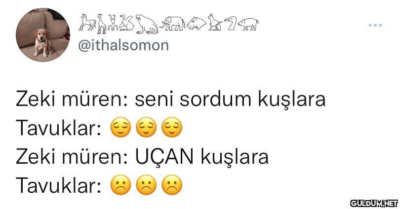 ral @ithalsomon Zeki...
